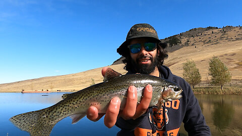 Cascade, Montana: Rainbow/Brown Trout