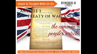 N8 Ep 87 Wed 25th October 2023 Article 3 Treaty of Waitangi
