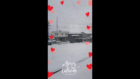 Japan decorated by Snow || Diversity of Nature