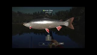 Russian Fishing 4 Kuori lake Arctic Char 2.662 Kg