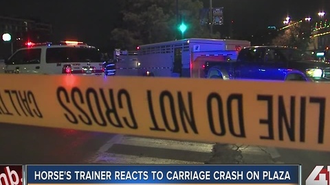 Horseâs trainer reacts to carriage crash on Plaza