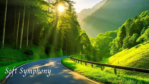 Relaxing piano music -The best melodies to relax the nervous system🌿 #relaxingmusic #relaxationmusic