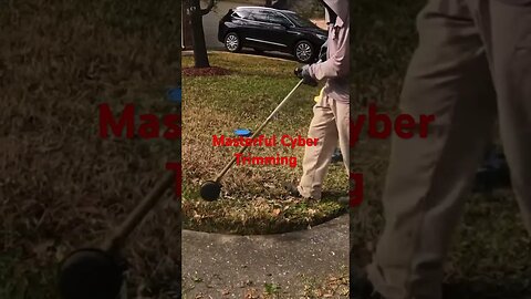 #viral #shortvideo #shorts #short #lawn #grass #lawncare #mowing #mowing #bermuda #home #sod #tahoma