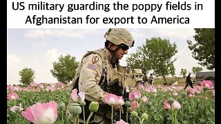During US Occupation, Poppy Crop in Afghanistan shot up
