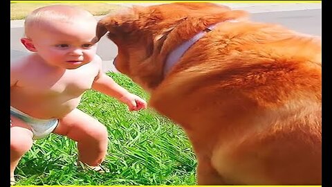 🐕🤣🥳 Best video of Cute Babies and Pets - 💥 Funny Baby and Pet