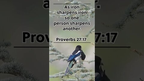 IRON SHARPENS IRON! | MEMORIZE HIS VERSES TODAY | Proverbs 27:17 With Commentary!