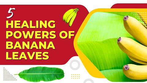 5 Health Benefits of Banana Leaves