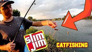Catfishing Experiment SLIM JIMS vs. ROTTEN OLD Smelly Bait