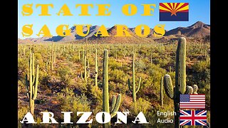 State of Saguaros: All about Arizona