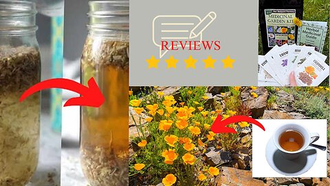 "Unlock the Power of Nature with the Brand New Medicinal Garden Kit!" (2023 Review)