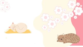 🌺Pare e sinta o cheiro das flores!!!Cat #Mimoso#