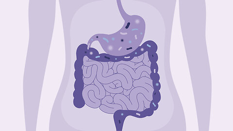 Bacteria and gut health is there truly a connection?