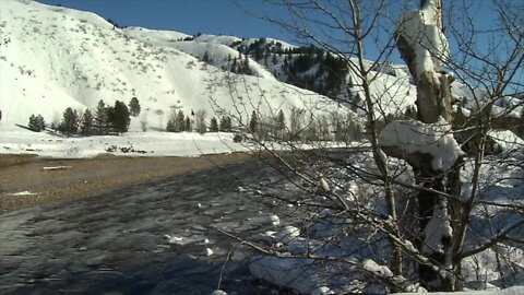 Winter is here and Idaho Fish and Game are asking the public to "Winterize" their home to help protect wild animals