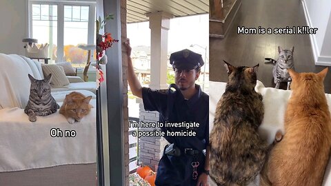 Part 2: My cats got arrested for calling cops on mom 😂
