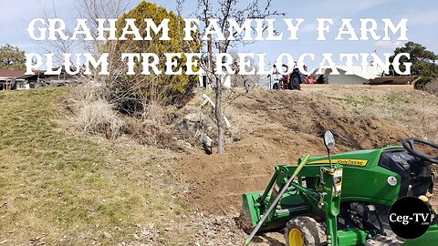 Graham Family Farm: Plum Tree Relocating