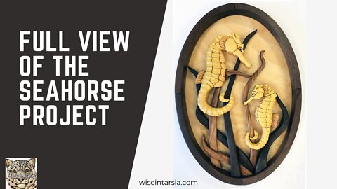 Total view of the Kathy Wise Designs Seahorse Project