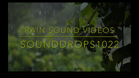 Rain Sounds Video #short