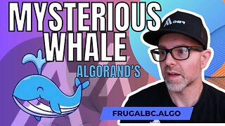 There's a mysterious whale buying up Algorand