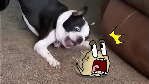 Funny Animal Videos 2023 😂 - Funniest Dogs and Cats Videos 😅 😂 ☺ 😂 😃