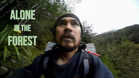 3 day Solo Adventure in the Forest | Nice Mountain Ridge Trails