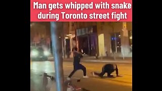 Toronto Man Arrested For Assault With Living Python Snake.