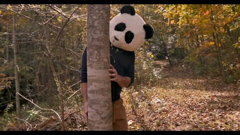 Man wearing a panda head mask peaking from behind a tree in a park or forest during the day