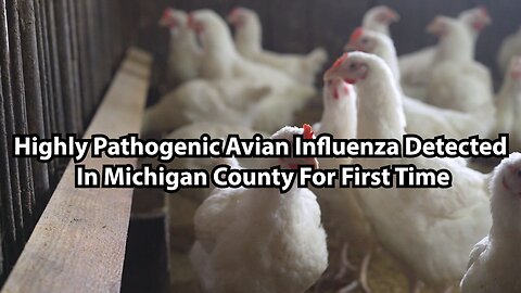 Highly Pathogenic Avian Influenza Detected In Michigan County For First Time
