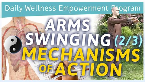 Arms Swinging (2/3) possible mechanisms of action