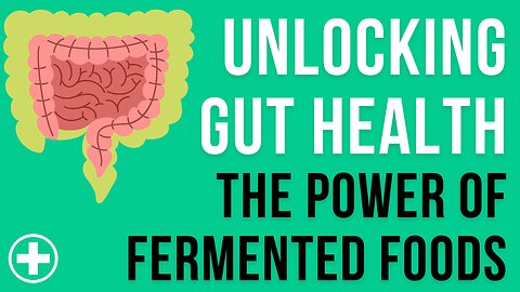 Unlocking Gut Health - The Power of Fermented Foods with Sean O'Mara, MD