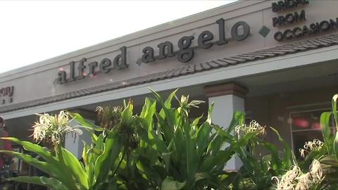Alfred Angelo Bridal closing stores nationwide | Digital Short