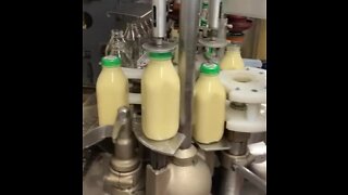 Hoover's Dairy in Sanborn begins bottling its famous eggnog