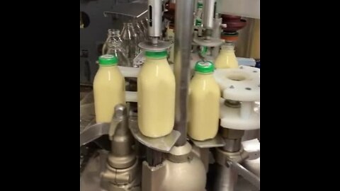 Hoover's Dairy in Sanborn begins bottling its famous eggnog