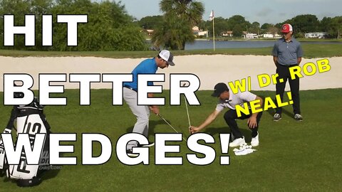3 WEDGE MYTHS BUSTED with Dr. Rob Neal. Be Better Golf ⛳️
