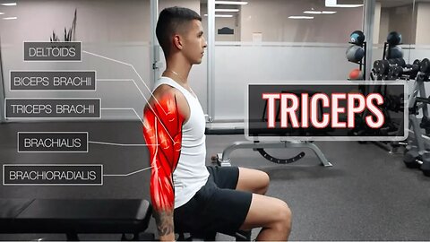 The Best Science-Based Tricep Workout - ARMS (Part 2_2)