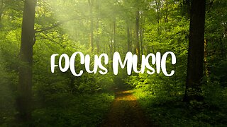 How to Relax, study and Sleep? Here is forest sound that will help you to do all those things!