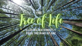 The Tree of Life Illustrated Directly from The Mind of One
