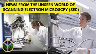 News From The Unseen World Of Scanning Electron Microscopy (SEC)