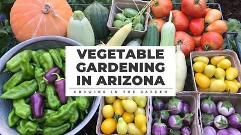 VEGETABLE GARDENING in Arizona, 7 Principles for SUCCESS: Growing in the Garden