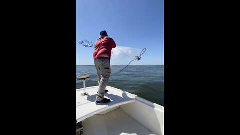 3/29/2022 Captain Larry Blieka Castnet for Live Bait