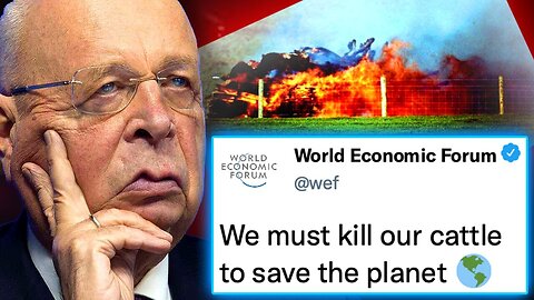 WEF & UN Agenda 2030 Orders US Gov't To Forcibly Seize Farms by 2025 and Burn Millions of Cattle!