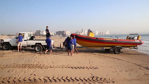 SOUTH AFRICA - Durban - International Turtle Day (Video) (hB2)