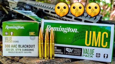 Remington UMC 300 AAC Blackout - SUPER QUIET!!! [3 Different Actions] Banish 30 Gold Suppressor