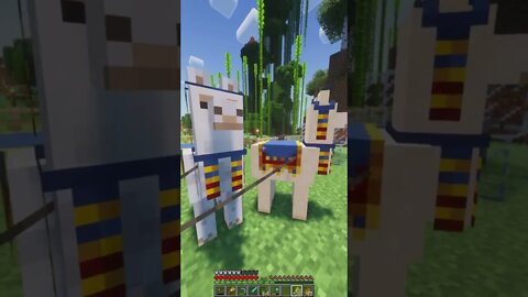 Minecraft 1.19 Realms New Shaders & Mods Survival Multiplayer Series Java SMP (Join Discord for IP!)