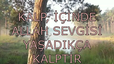 EVLİYALAR SULTANI GAVSU'L AZAM ABDÜLKADİR GEYLANİ K S HAZRETLERİNDEN ALTIN ÖĞÜTLER (22. SOHBET)