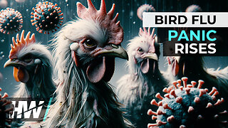 BIRD FLU PANIC RISES