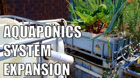 Parents Aquaponics System Expansion | A Well Overdue Update