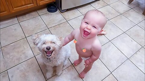 20 Minutes of HILARIOUS Babies Laughing With Pets 😹 | Kids and Animals 💕