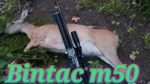 BinTec m50 (DEER HUNT)