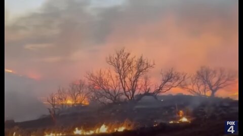 “Farmers And Ranchers Are Losing Everything”: Texas Wildfires Rage, Largest In State History