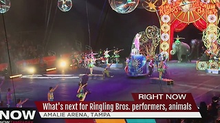 What's next for Ringling Bros. performers, animals